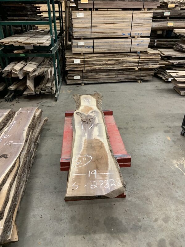 Bargain Wall Slabs - Walnut - Image 29