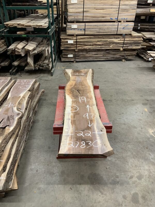 Bargain Wall Slabs - Walnut - Image 31