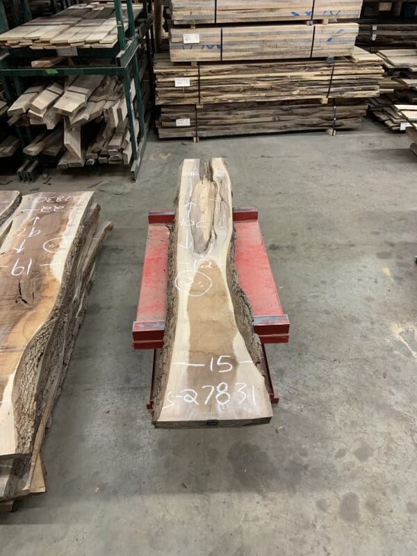 Bargain Wall Slabs - Walnut - Image 32