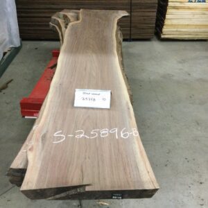 Ten Feet Walnut Logs 25358 for Table and Other Projects