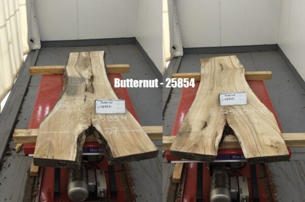 Butternut Log for Back Wall Slab, 25854