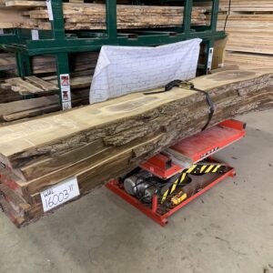 A Bundle of Walnut Logs 16003, Eight to Twelve Feet