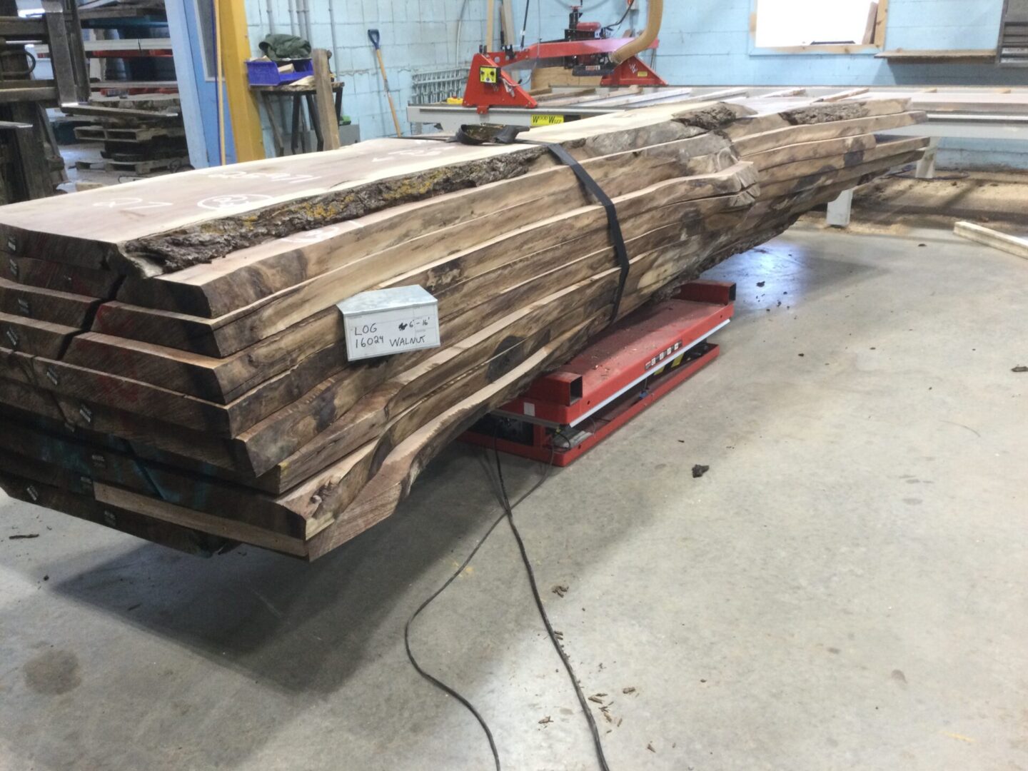 A Bundle of Walnut Logs 16024, Five to Fifteen Feet