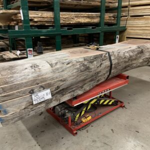 A Bundle of Walnut Logs 489648, Ten Feet Size