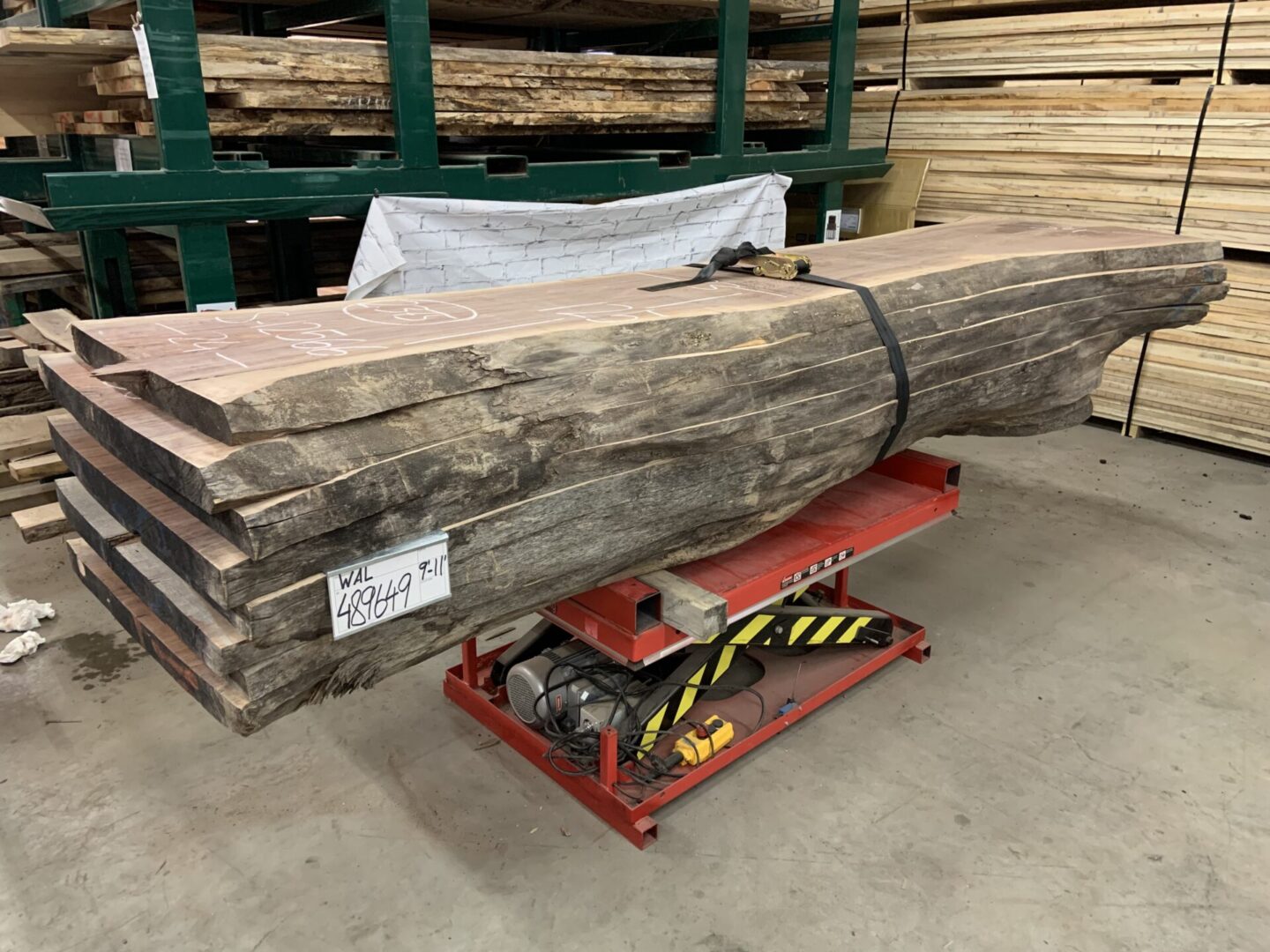 A Bundle of Walnut Logs 489649, Nine to Ten Feet Size
