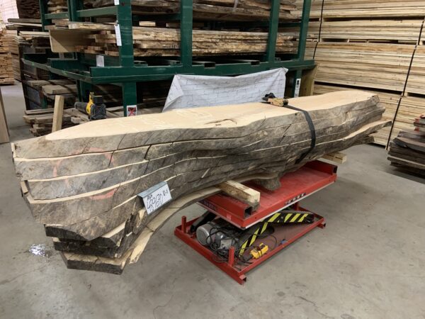 A Bundle of Ash Log 489670, Size Ten to Eleven Feet