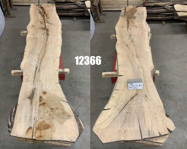 Two Views of Ash Logs Bundle in Ten to Eleven Feet, 12366