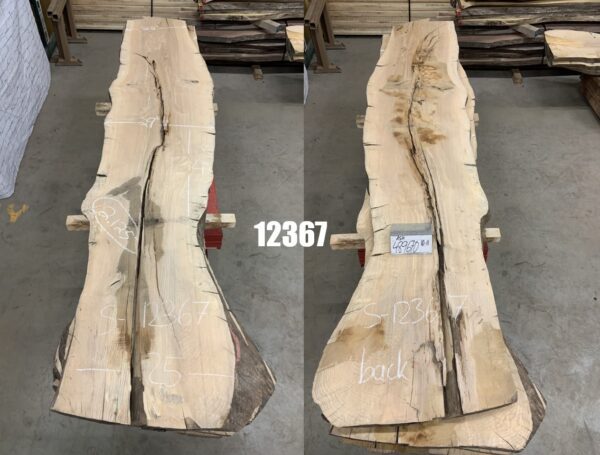 Two Views of Ash Logs Bundle in Ten to Eleven Feet, 12367