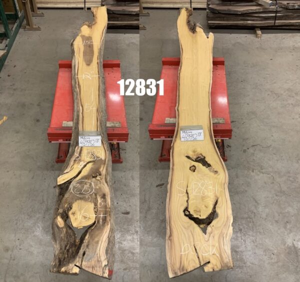Weight and Dimensions of Mulberry Logs 12831, Twelve Feet