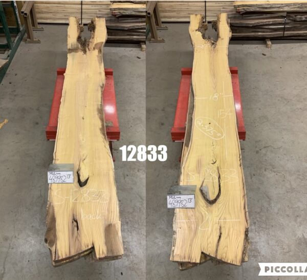 Weight and Dimensions of Mulberry Logs 12833, Twelve Feet