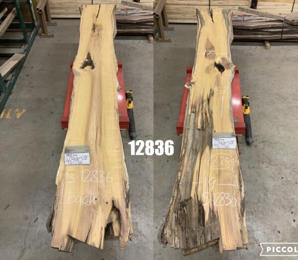 Weight and Dimensions of Mulberry Logs 12836, Twelve Feet