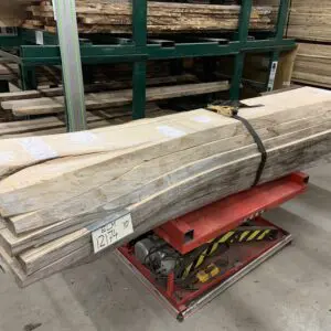 A Bundle of Elm Wood Logs 12174, Ten Feet Size
