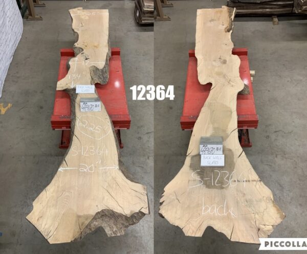 A Bundle of Ash Logs in Ten to Eleven Feet Size, 12362