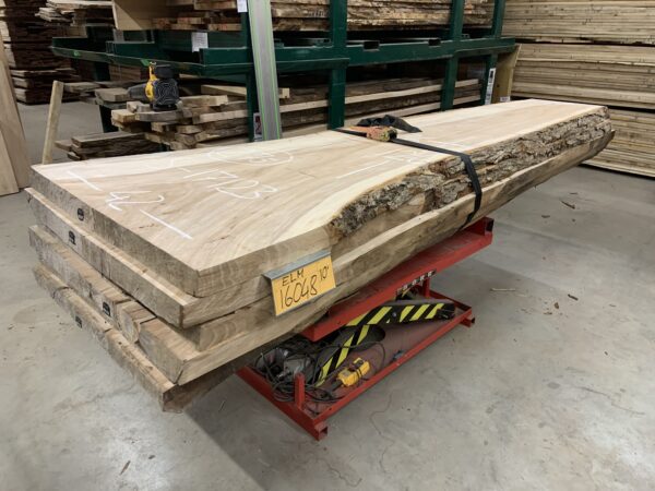 A Bundle of Elm Wood Logs 16048, Ten Feet Size