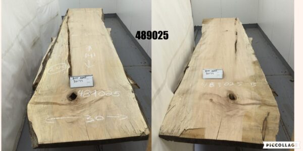 Kiln Dried and Planed Back Wall Slabs, Spalted Maple 489025