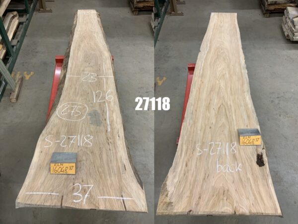 A Bundle of Elm Logs 27118, Ten Feet Size