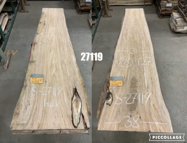 A Bundle of Elm Logs 27119, Ten Feet Size