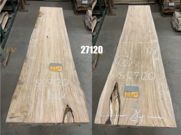 A Bundle of Elm Logs 27120, Ten Feet Size