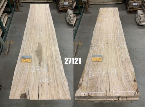 A Bundle of Elm Logs 27121, Ten Feet Size