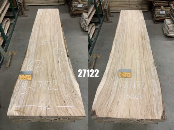 A Bundle of Elm Logs 27122, Ten Feet Size