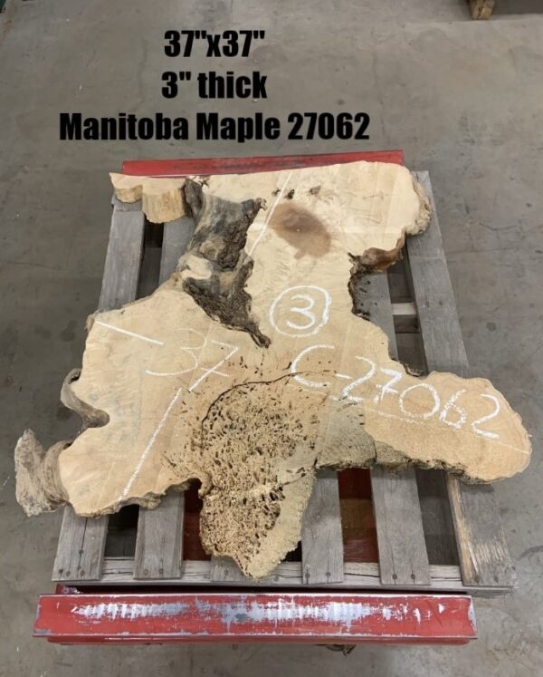 Manitoba Maple Wood Cookies 27062, Dimensions