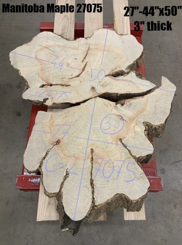 Manitoba Maple Wood Cookies for Decor, 27075