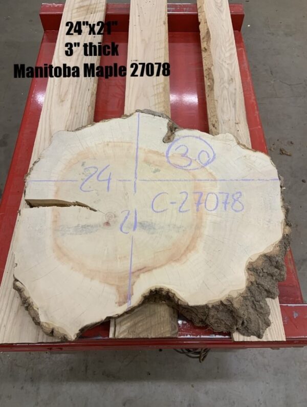 Manitoba Maple Wood Cookies for Decor, 27078
