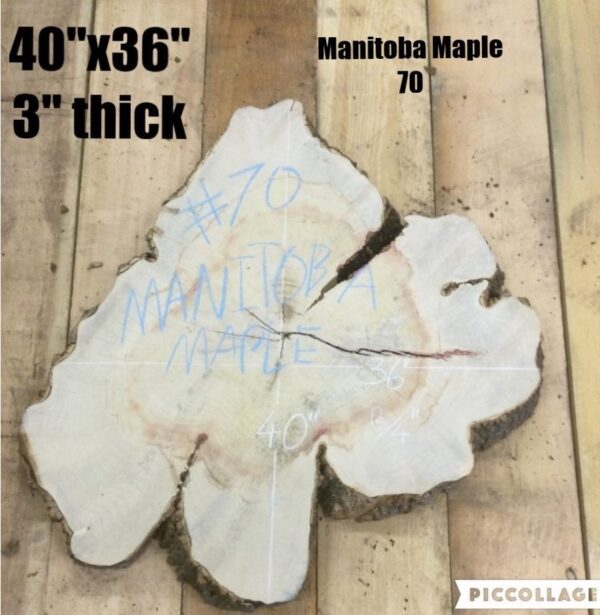 Manitoba Maple Wood Cookies for Decor, 070