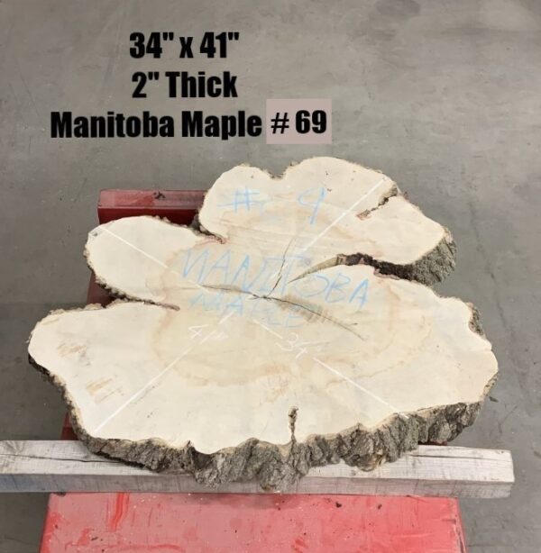 Manitoba Maple Wood Cookies 69, Dimensions