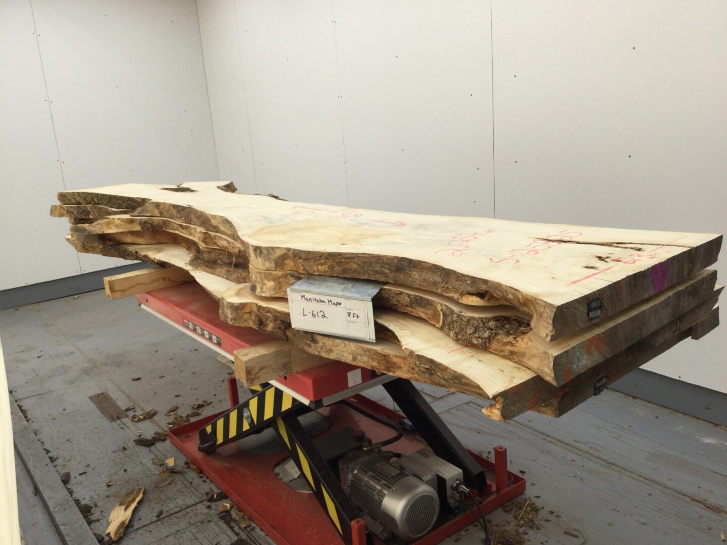 A Bundle of Manitoba Maple Logs 612, Nine Feet Size