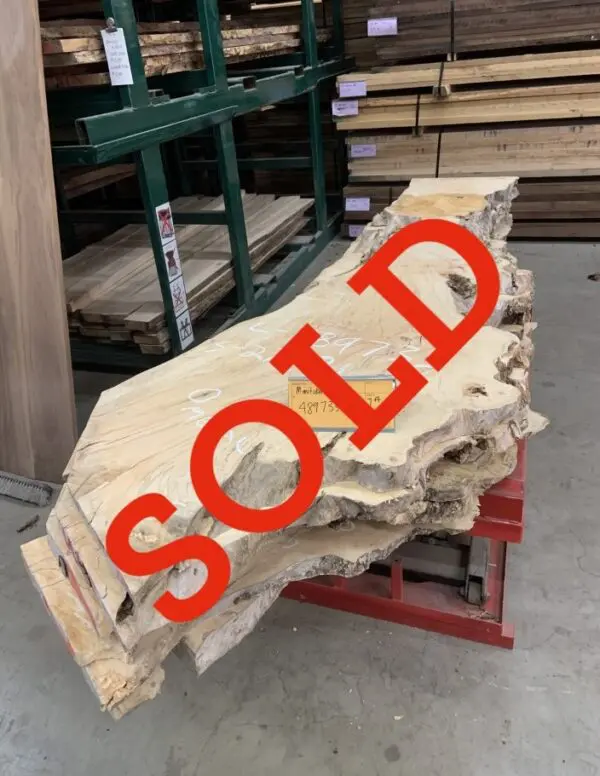 Manitoba Maple Log # 489733 - 7 FT