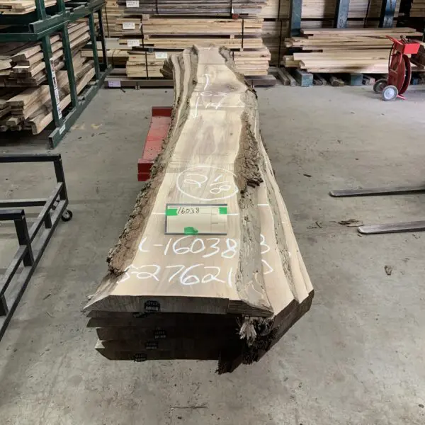 Walnut Log # 16038 - 14 FT