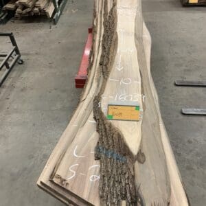 Walnut Log # 16039 - 12 FT