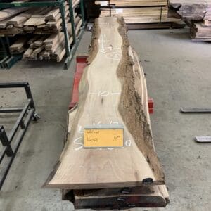 Walnut Log # 16063 - 10 FT