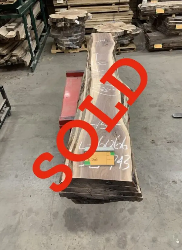 Walnut Log # 16066 - 10 FT