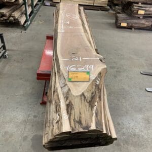 Walnut Log # 16299 - 10 FT