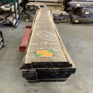 Walnut Log # 16404 - 10 FT