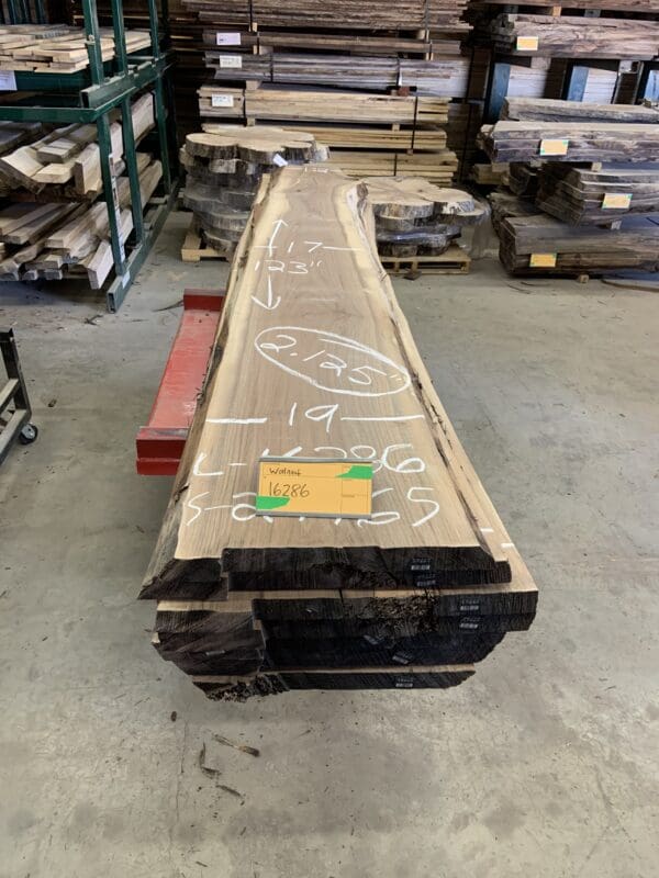 Walnut Log # 16404 - 10 FT