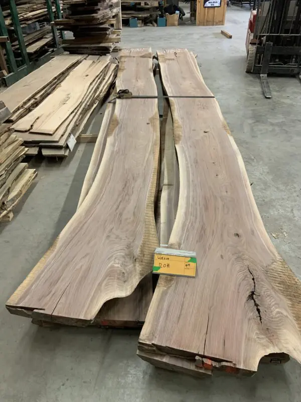 Walnut Log # 12014 - 19 FT