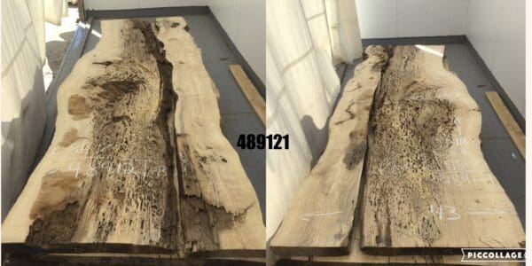 Ash Log # 887 - 9 FT - Image 2