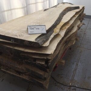 Ash Log # 887 - 9 FT