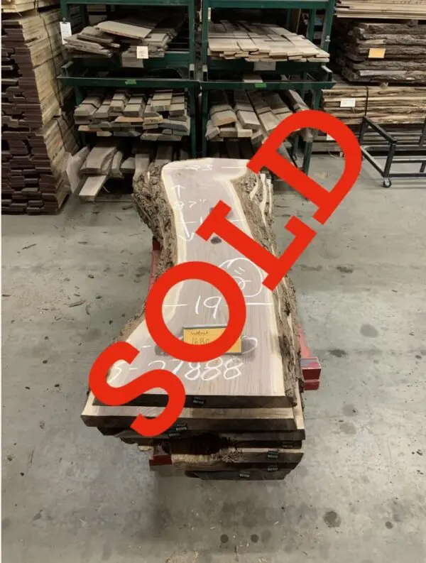 Walnut Log # 16130 - 7 FT
