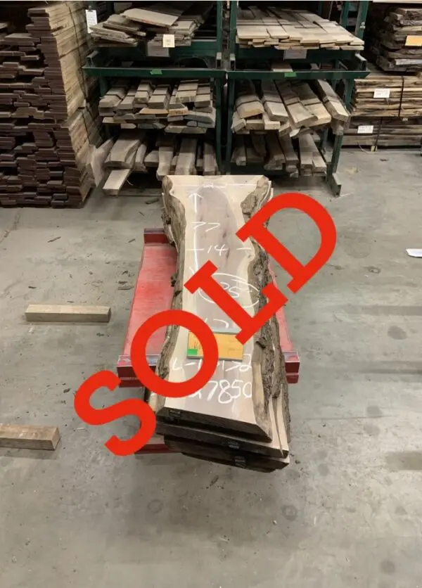 Walnut Log # 16132 - 6 FT