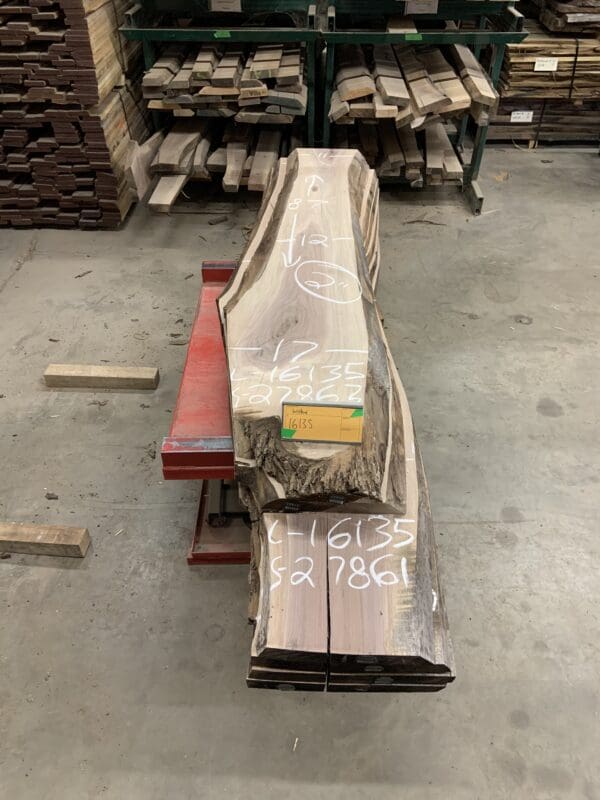 Walnut Log # 16135 - 8 FT