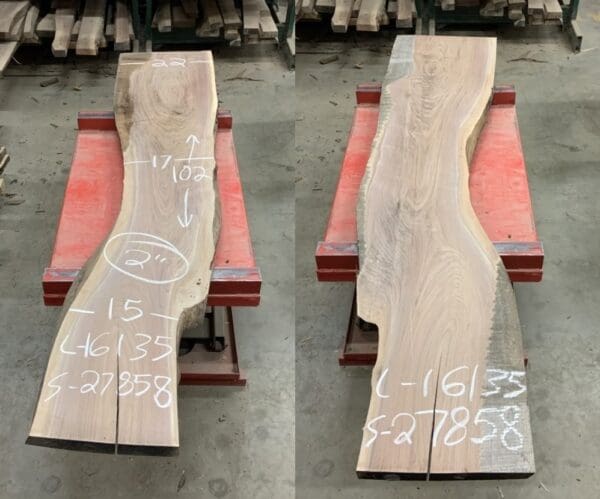 Walnut Log # 16135 - 8 FT - Image 3