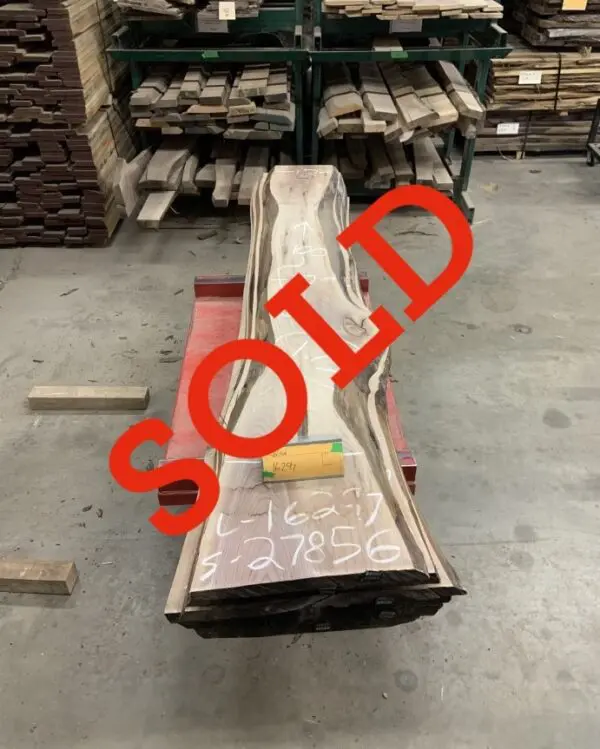 Walnut Log # 16297 - 8 FT