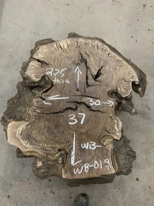 Claro Walnut Burls - Image 6