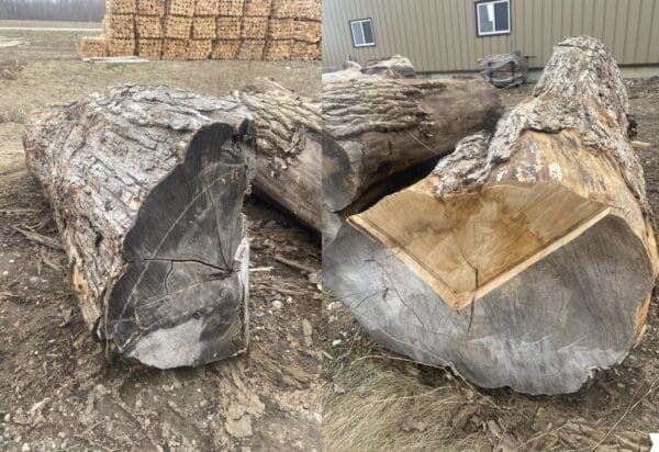Non-Milled Hard Maple - Image 11
