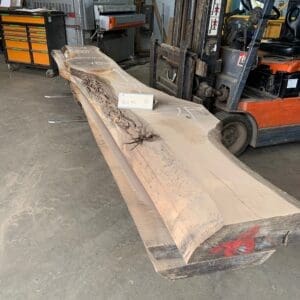 Walnut Log # 16050 - 13 FT