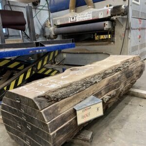 Walnut Log # 16065 - 5 FT
